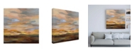Trademark Global Silvia Vassileva High Desert Sky III Canvas Art - 15.5" x 21"